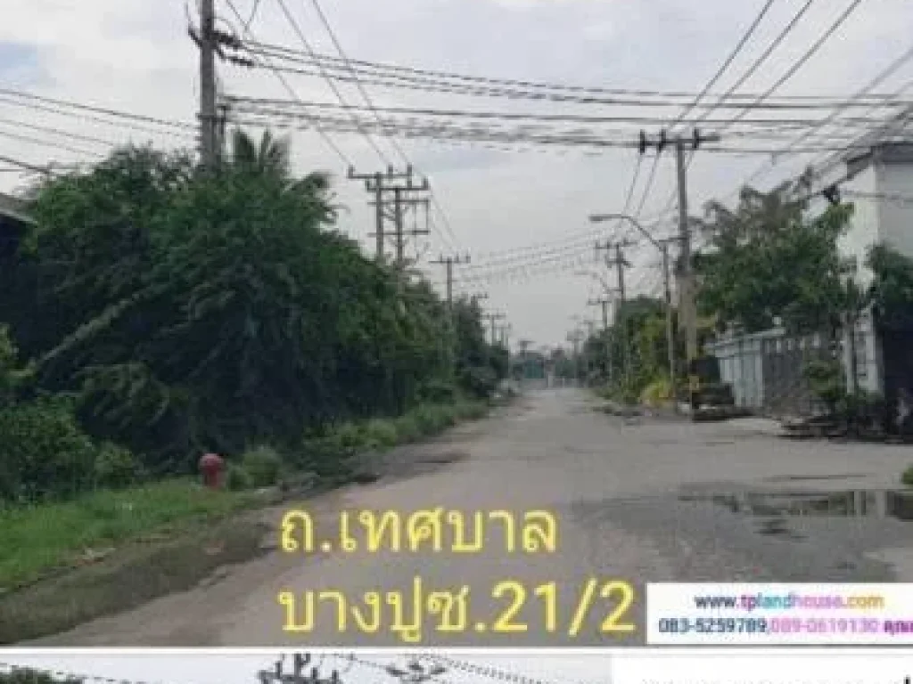 ขายที่ดิน 9 ไร่ พร้อมโรงงานมีใบ รง 4 ถนนเทศบาลบางปู ซอย 212 อเมือง จสมุทรปราการ