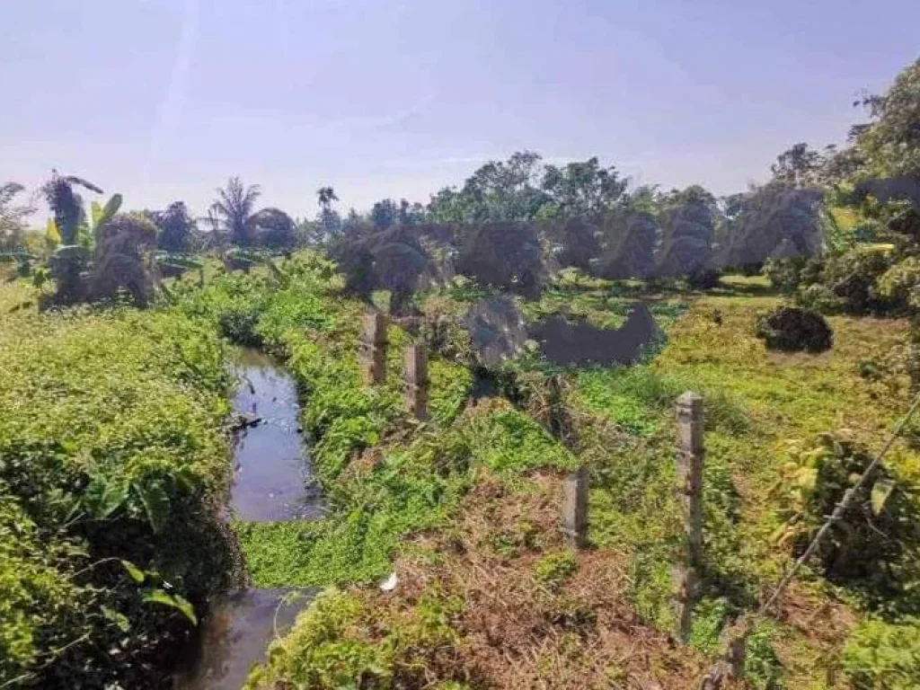 ขายที่ดินบ้านเด่น สันป่าตอง ติดลำเหมือง ราคาถูก