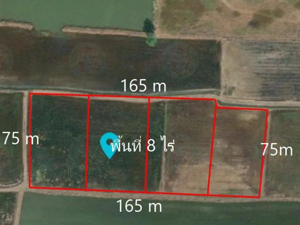ขาย ที่ดินเปล่า พื้นที่ 8 ไร่ ขายราคาไร่ละ 7 แสนบาท ใกล้ตัวอำเภอบางปะอิน