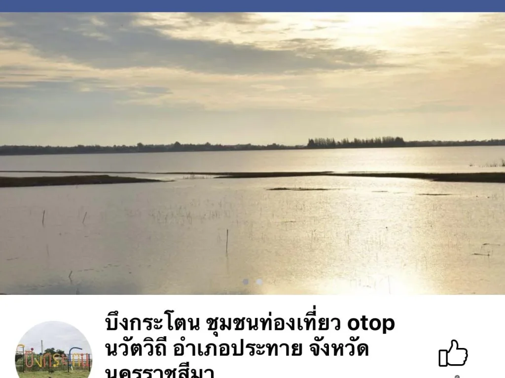 ขายที่ดินริมบึงกระโตน อ ประทาย