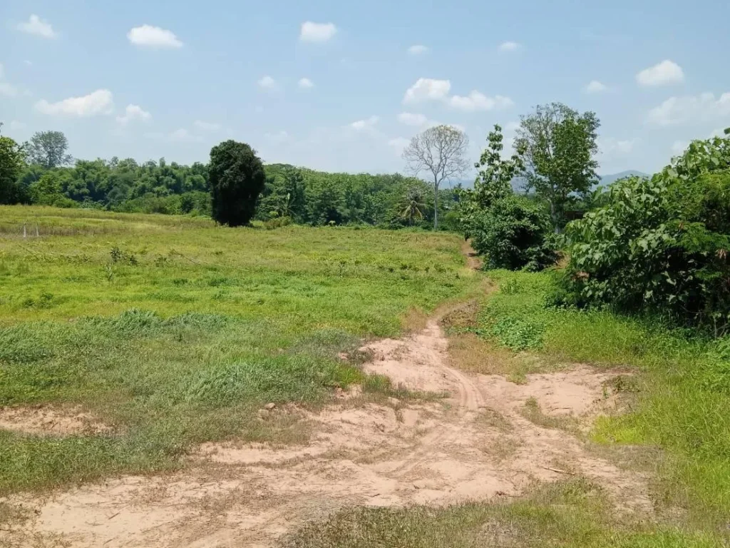 ที่ดินแปลงสวย หน้าติดถนนลาดยาง หลังติดแม่น้ำน่าน อเมืองอุตรดิตถ์