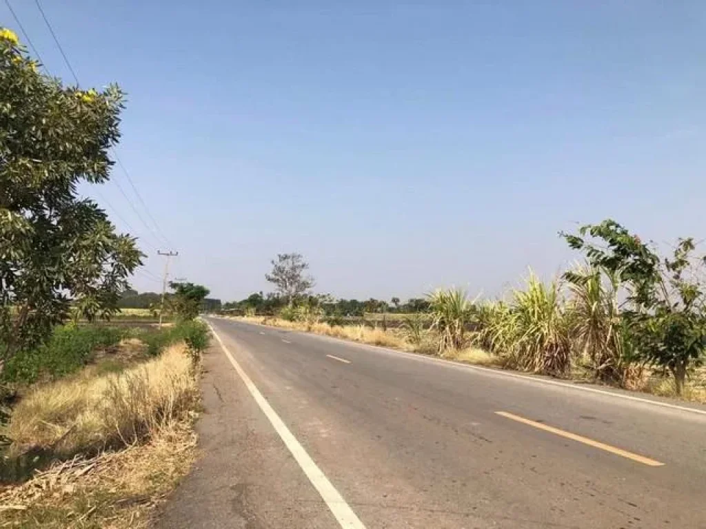 ที่ดินทำการเกษตรหนองม่วง ลพบุรี