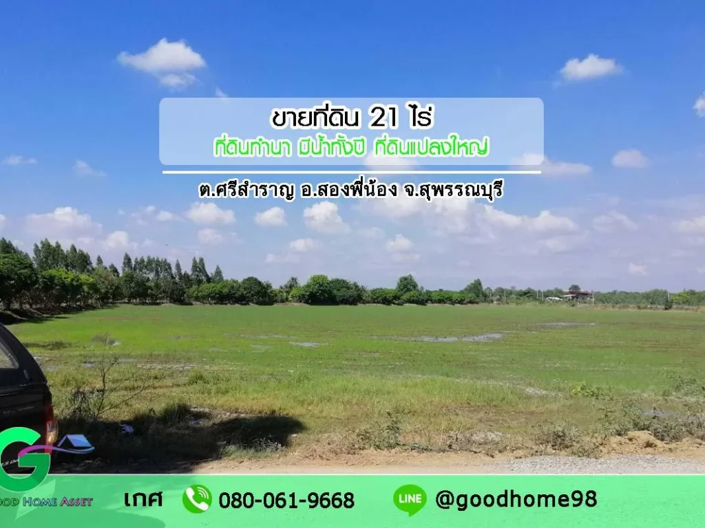 ขายที่ดิน อสองพี่น้อง จสุพรรณบุรี 21 ไร่ ที่ดินทำนา มีน้ำทั้งปี อากาศดี