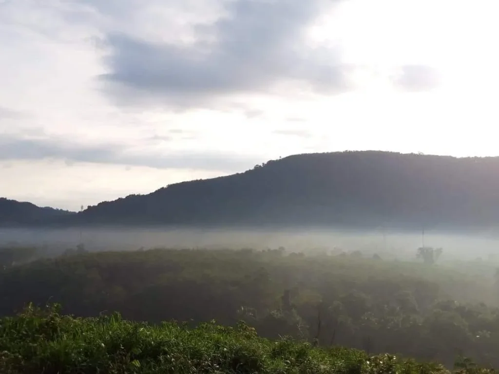 ที่ดินก่อนถึงเกาะเสม็ดนางชี