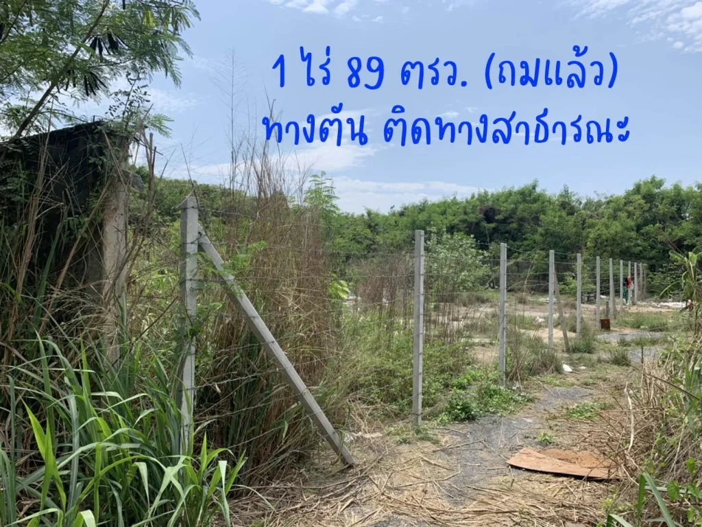 ที่ดินเปล่าใกล้สุขุมวิทหนองมน 1ไร่89ตรวขาย18ล้าน สนใจจริงสามารถต่อรองได้ ตำบลแสนสุข อำเภอเมือง จังหวัดชลบุรี