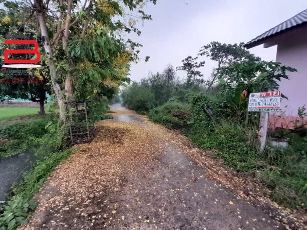 ที่ดินจัดสรรถมแล้ว มสวนเกษตรไผ่ขวาง เนื้อที่ 300 ตรวอเมือง จสุพรรณบุรี