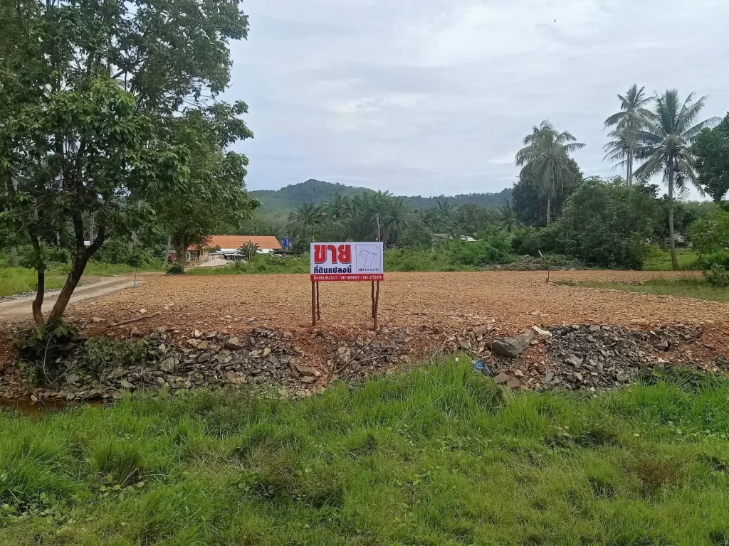 ประกาศขาย ที่ดินเปล่าติดถนนใหญ่เกาะลันตา