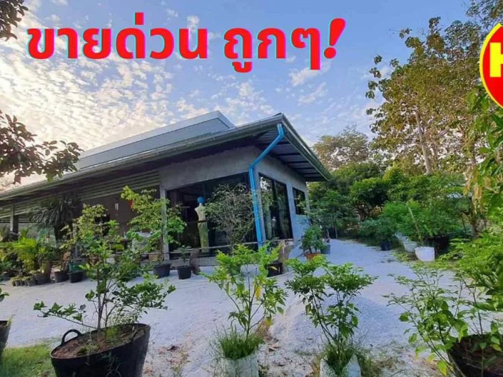 ขายบ้าน สวนผลไม้ระยอง อนิคมพัฒนา เนื้อที่ 1-3-54ไร่ ขายถูกด่วน