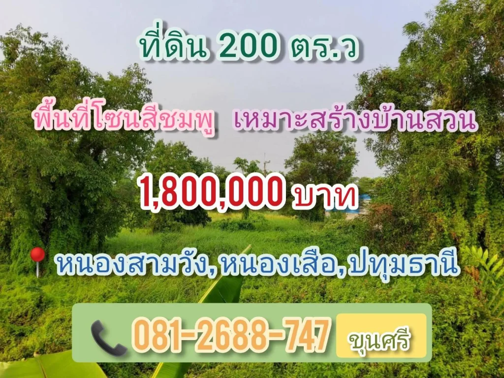 ขายที่ดิน 200 ตารางวา ซอยลำน้ำพัฒนา 1 คลอง 12 ฝั่งตะวันตก อำเภอหนองเสือ จังหวัดปทุมธานี