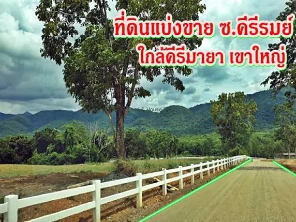 แบ่งขายที่ดินเขาใหญ่ 1-5 ไร่ ซอยคีรีรมย์ ปากช่อง ที่ดินสวยบรรยากาศดี วิวภูเขา