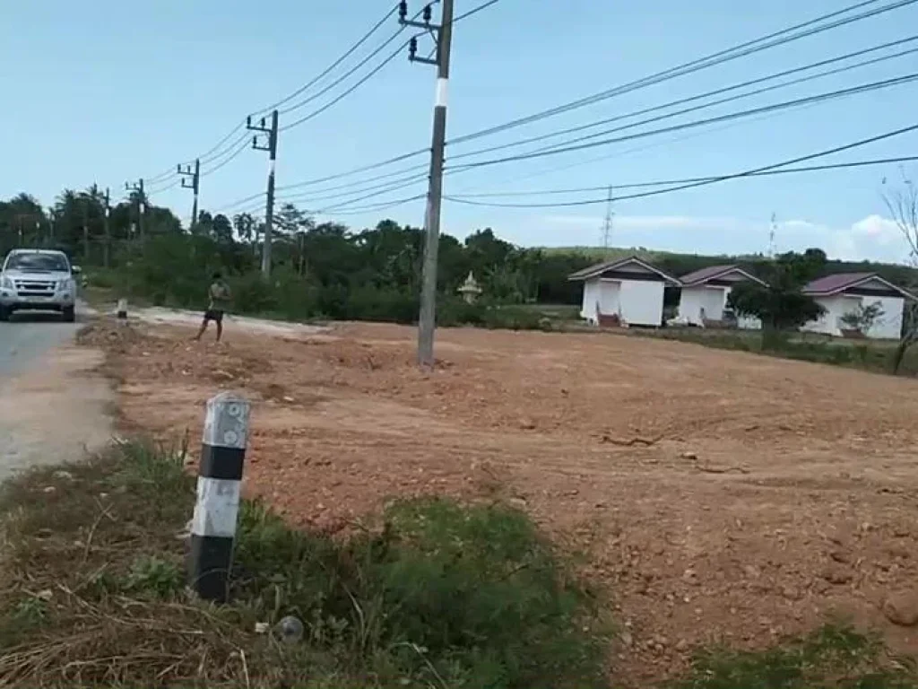 ขายที่ดินติดทางหลวงแผ่นดิน อดอนสัก จสุราษฎร์ธานี