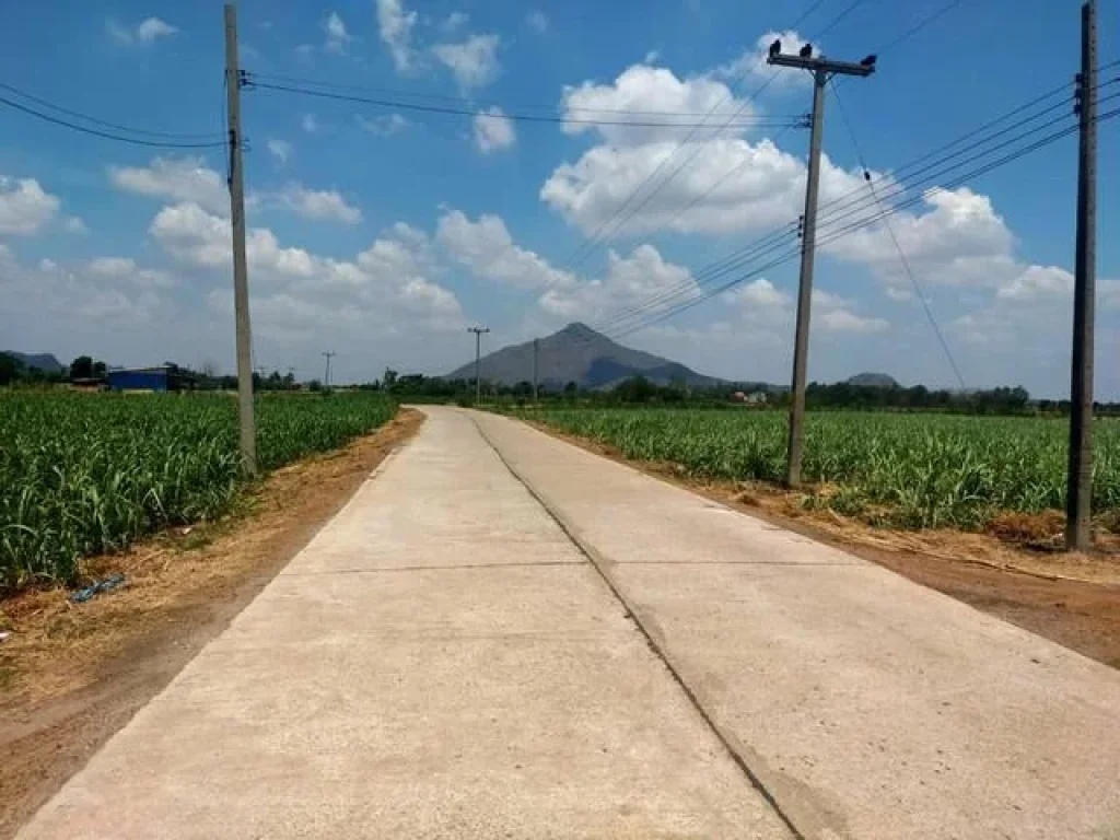 ที่ดินทำบ้านสวนการเกษตรโคกหนองนา