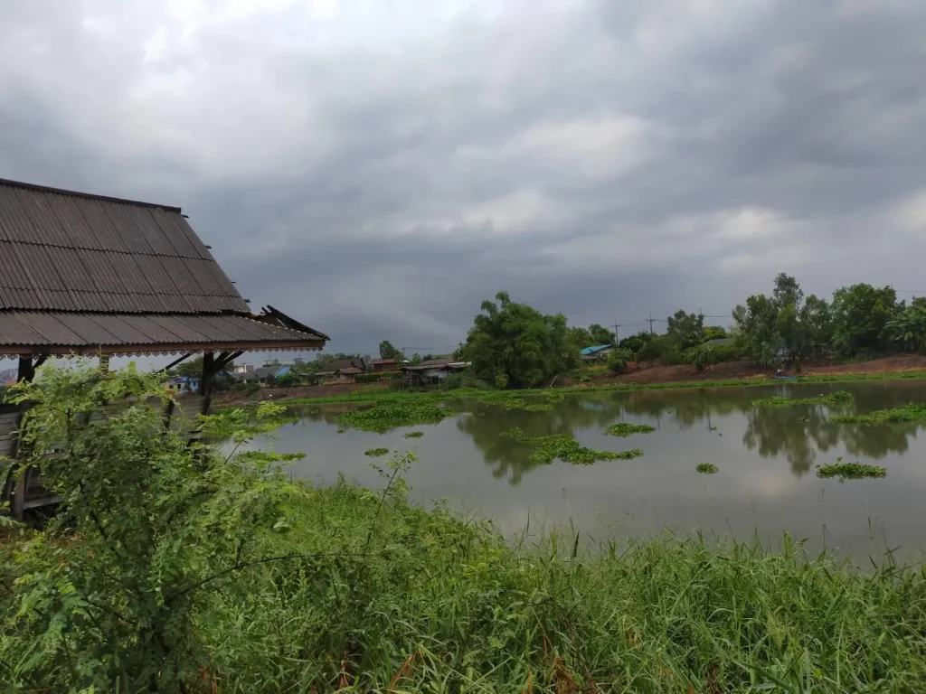 ขายที่ดินบ้านติดแม่น้ำท่าจีน 24ไร่ เหมา25ล้านหน้าติดถนนทางหลวง อสองพี่น้อง จสุพรรณฯเหมาะทำร้านอาหารที่เที่ยวริมแม่น้ำใก้ลวัดไผ่โรงวัว