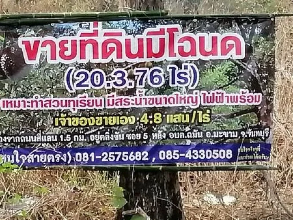 ขายที่ดินมีโฉนดเหมาะกับการทำสวนทุเรียน 20 ไร่ 3 งาน 76 ตรวา จจันทบุรี