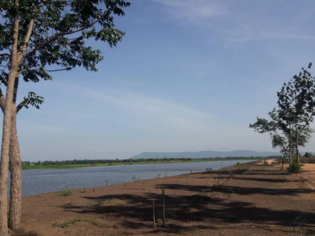 ที่ดินขายด่วนผืนงามติดบึงหนองแปน ตกุดกว้าง อหนองเรือ จ ขอนแก่น