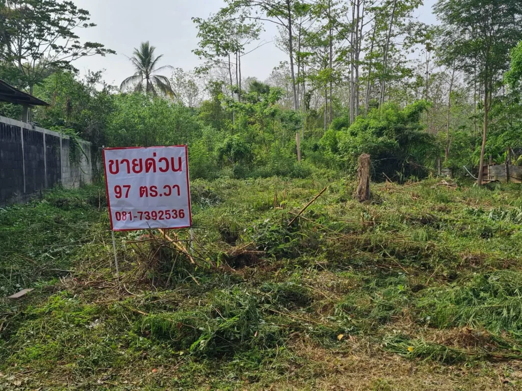 ขายที่ดินสร้างบ้านเขตเทศบาลเมืองเลย