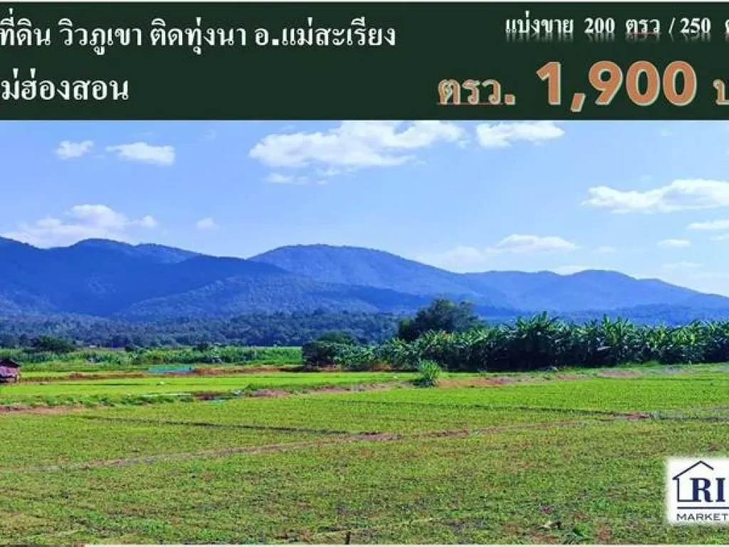 R067-078 ขายที่ดิน วิวภูเขา ติดทุ่งนา ติดถนนทางหลวงชนบท แม่ฮ่องสอน 3106 ตแม่ยวม อแม่สะเรียง จแม่ฮ่องสอน แบ่งขาย 200 ต