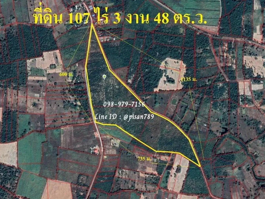 P276 ขายที่ดิน 107 ไร่ 3 งาน 48 ตรว อำเภอ เพ็ญ อุดรธานี ผังที่ดินสีเขียว ใกล้โรงเรียน