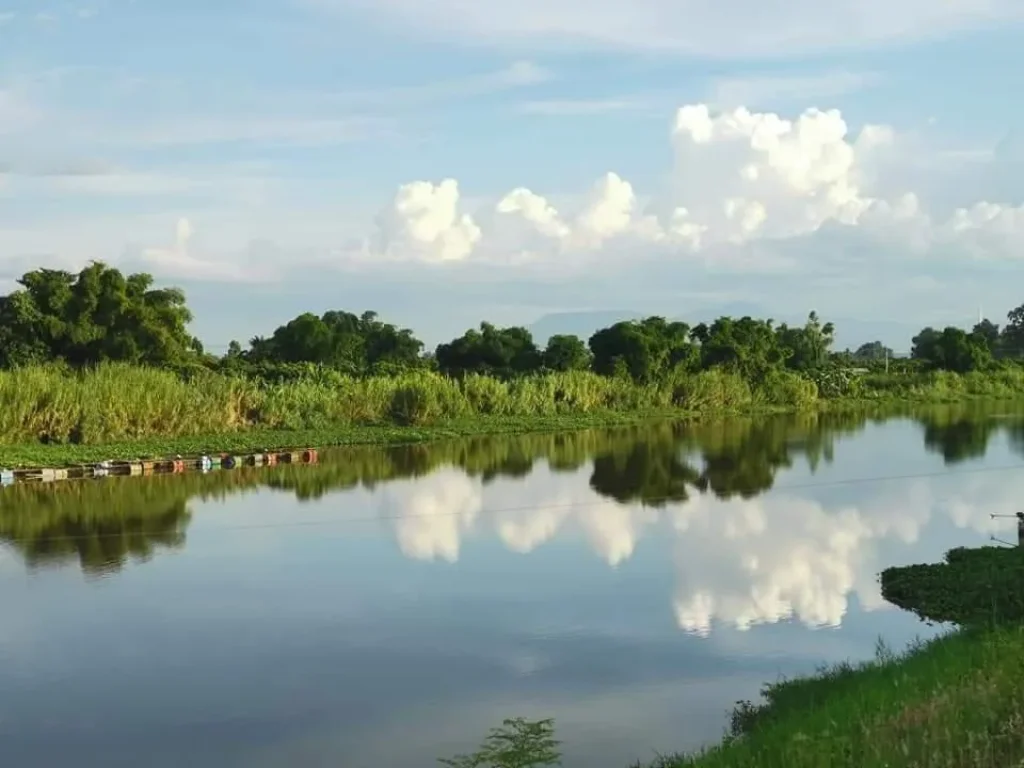 ขายที่ดินติดริมน้ำปิง หน้าติดถนนทำเลค้าขายได้