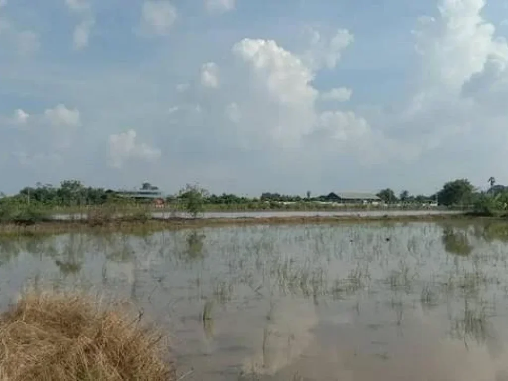 ที่สวยที่ดีที่นี่ ที่นา 5ไร่ บ่อเงิน ปทุมธานี