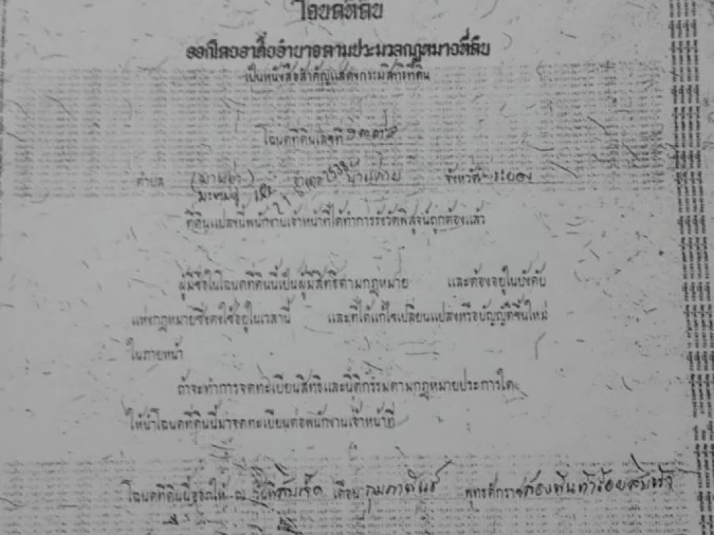 ขายที่ดิน 32 ไร่ ซอย 9 ใกล้ถนนสาย 13 ตำบลมะขามคู่ อำเภอนิคมพัฒนา จังหวัดระยอง