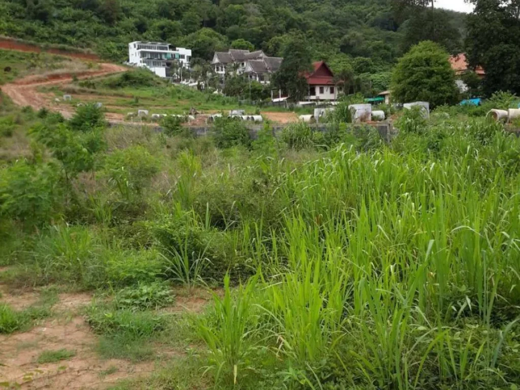 ขายที่ดิน Sea View อำเภอเมือง จังหวัดภูเก็ต