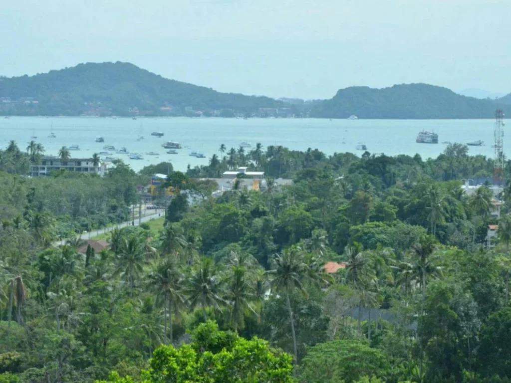 ขายที่ดิน Sea View อำเภอเมือง จังหวัดภูเก็ต