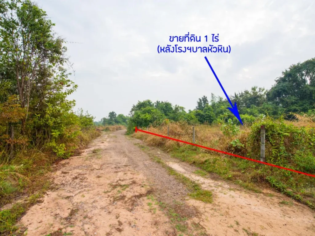 ขายที่ดินหัวหิน 1 ไร่ หลังโรงบาล ใกล้ถนนเพชรเกษม 45 ล้าน