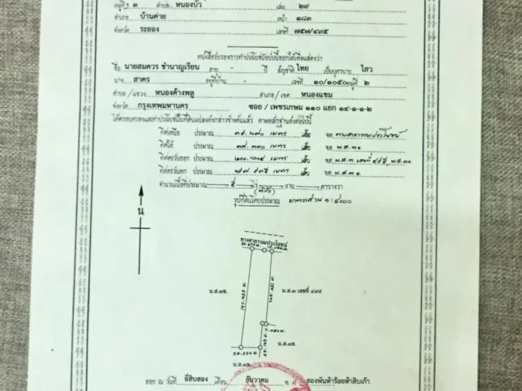 ขายที่ดินสวนยาง จ ระยอง