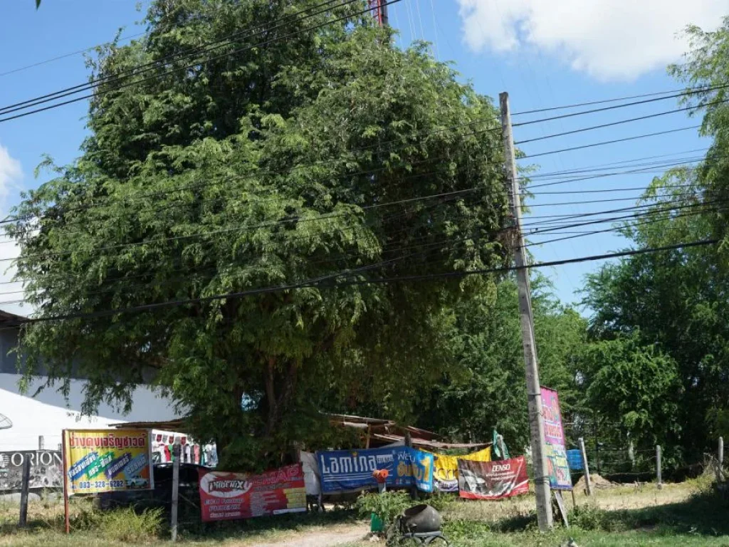 ขายที่ดินเปล่า 2 ไร่ 718 ตรว ติดถนนใหญ่อำเภอเกษตรวิสัย จังหวัดร้อยเอ็ด