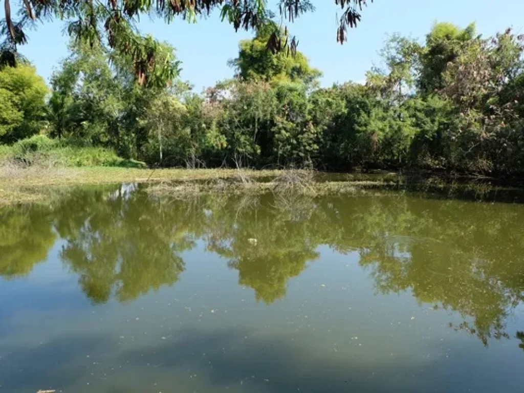 ที่ดินบรรยากาศสงบเงียบในดอยสะเก็ด