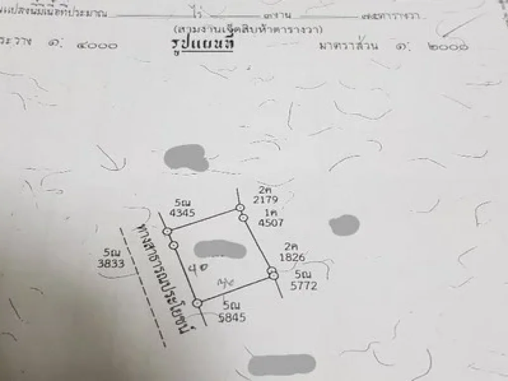 ขายที่ดินเพื่อการค้าการลงทุน เข้าซอยเพียง40เมตร จากถนนเส้นตลาดเท่ง