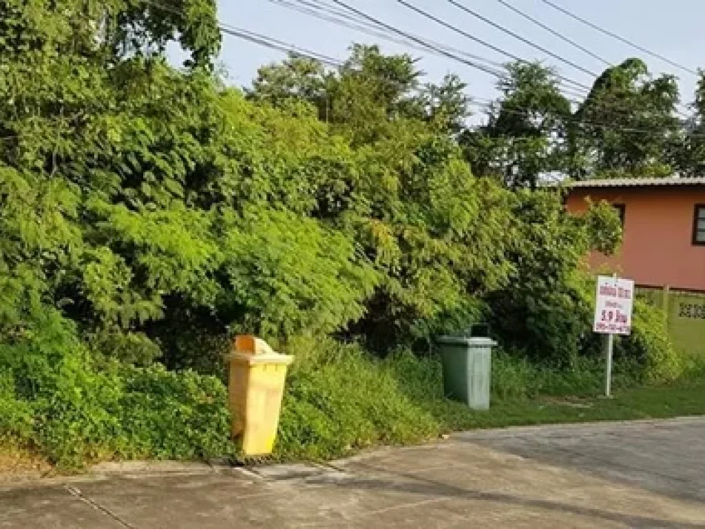 ขายที่ดินเลี่ยงเมืองปากเกร็ด ถมแล้ว 100 ตรว บรรยากาศสวย ร่มรื่น การเดินทางสะดวก