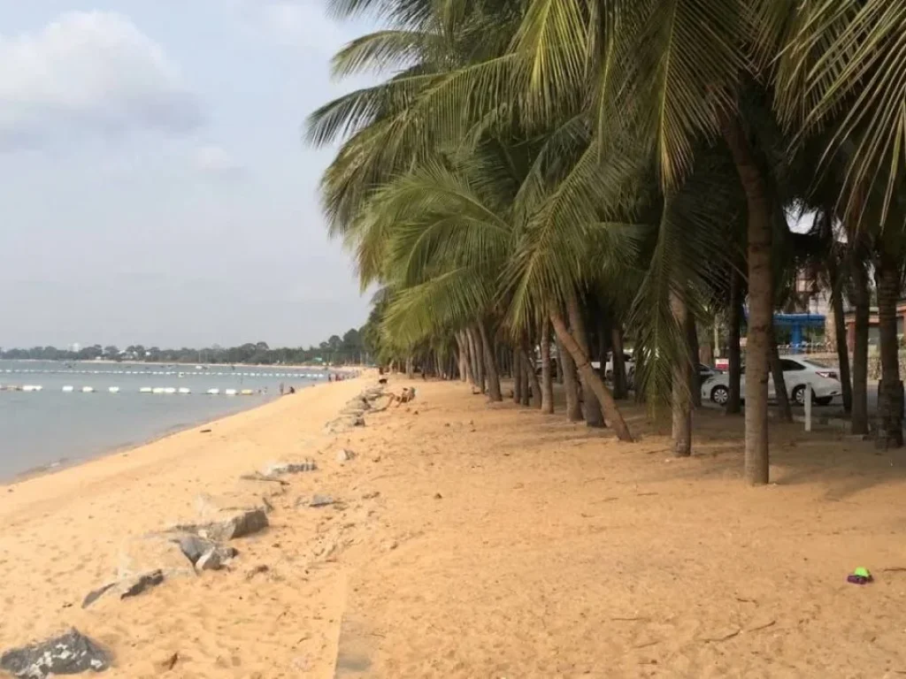 ขายที่ดินเปล่าติดชายหาดบางเสร่ 3 ไร่ ปรับถมแล้ว ถนนเลียบชายหาดบางเสร่ สัตหีบ ชลบุรี