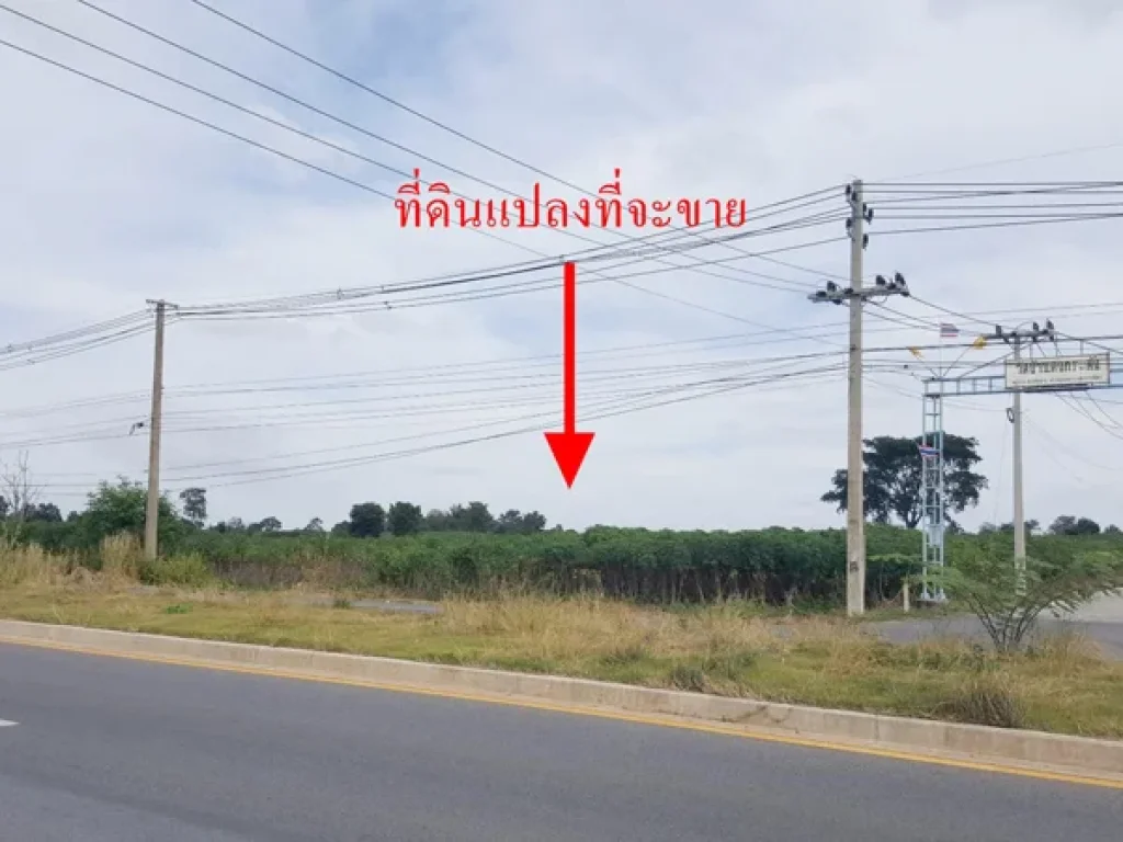 ขาย ที่ดิน 303-2-3 ไร่ ติดถนนชัยภูมิ-สีคิ้ว อด่านขุนทด จนครราชสีมา - 10759