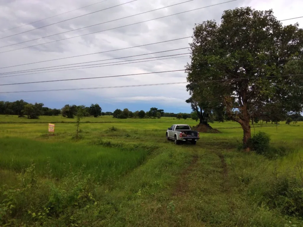 ขายที่ดินวาปีปทุม