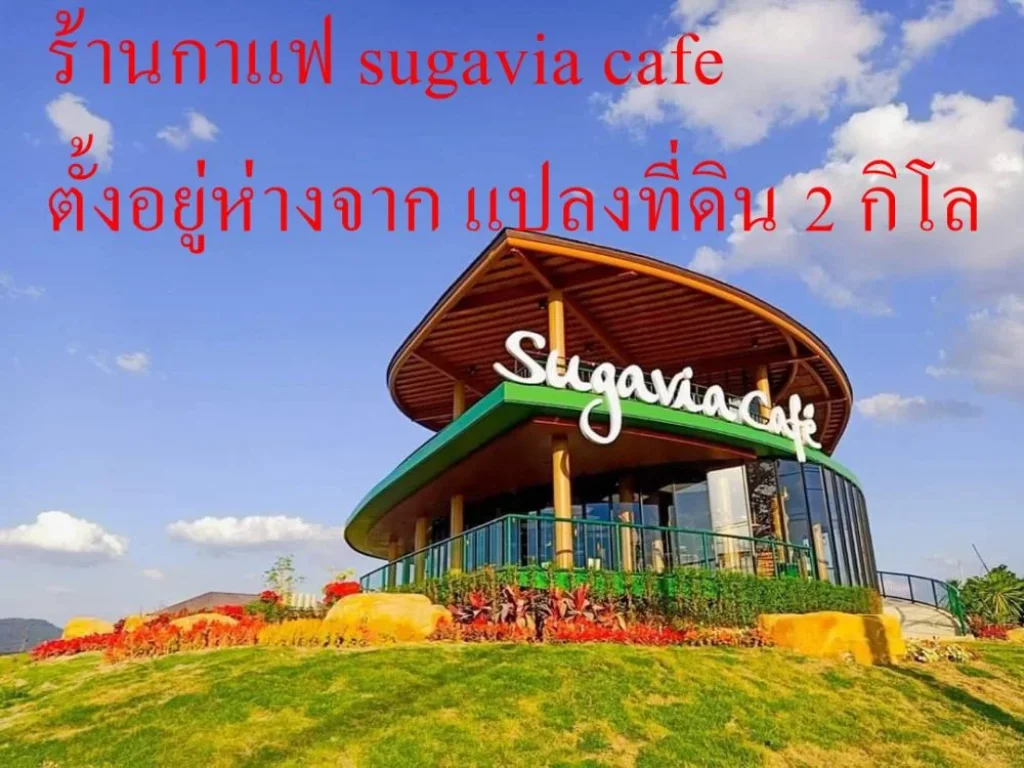 ขายที่ดินสวย อากาศดี 25 ไร่ อปากช่อง ตคลองม่วง ใกล้ My ozone ใกล้ Sugavia Healthy Land