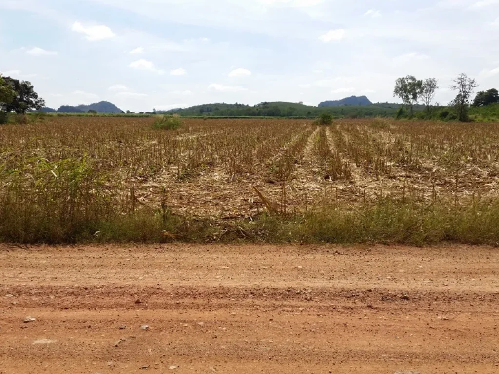 ขายที่ดินสวย อากาศดี 25 ไร่ อปากช่อง ตคลองม่วง ใกล้ My ozone ใกล้ Sugavia Healthy Land