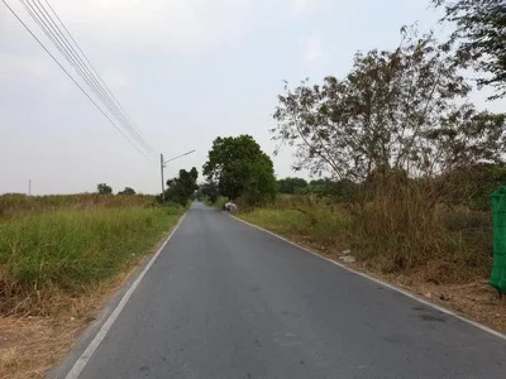 ขายที่ดินเปล่าติดวัดพระธรรมกาย 100 ตรวซคลองสาม 103 ใกล้ตลาดไท ตลาดไอยรา