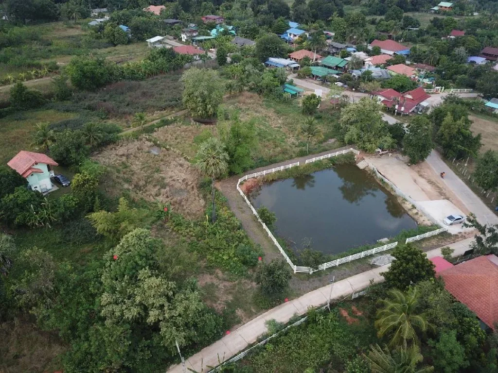 ขายที่ดินเปล่าเนื้อที่ 1 งานใกล้ มเทคโนฯราชมงคลอีสาน ศูนย์หนองระเวียง