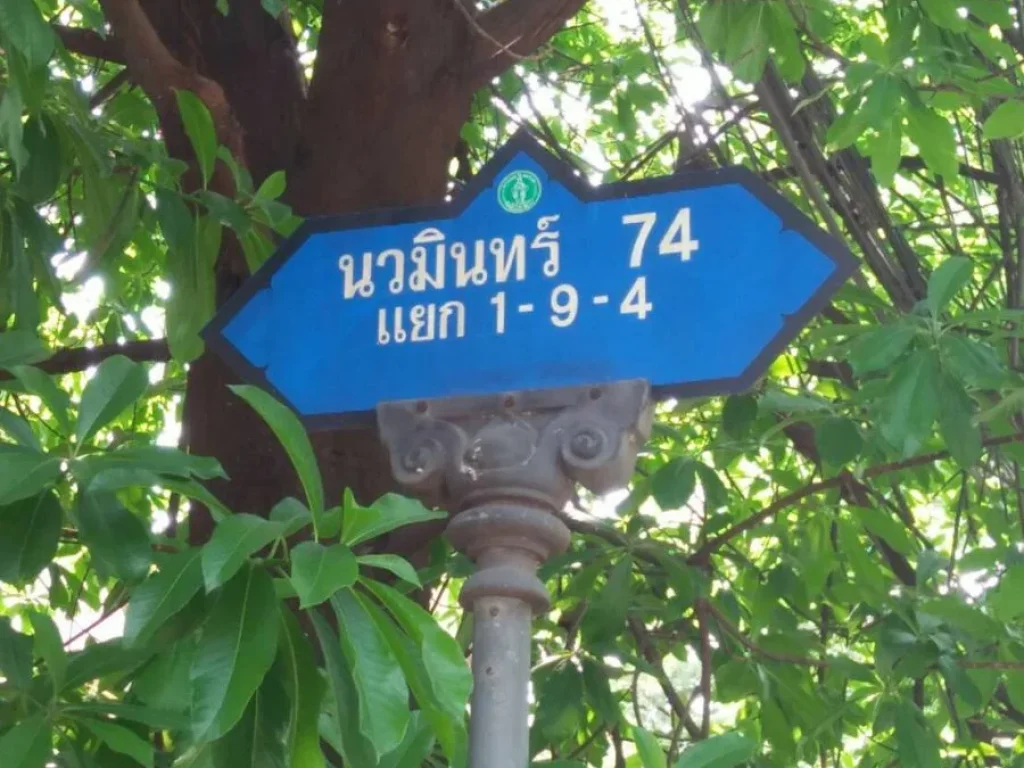 ขายที่ดิน 100 ตรว ซนวมินทร์ 74 แยก 1-9-4 บางกะปิ กรุงเทพฯ