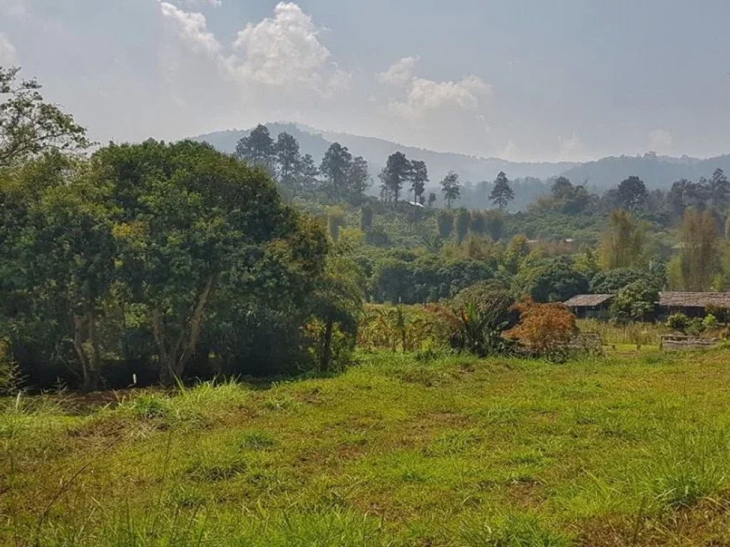 ขายที่ดินติดน้ำตก สายท่องเที่ยว แปลงสุดท้าย