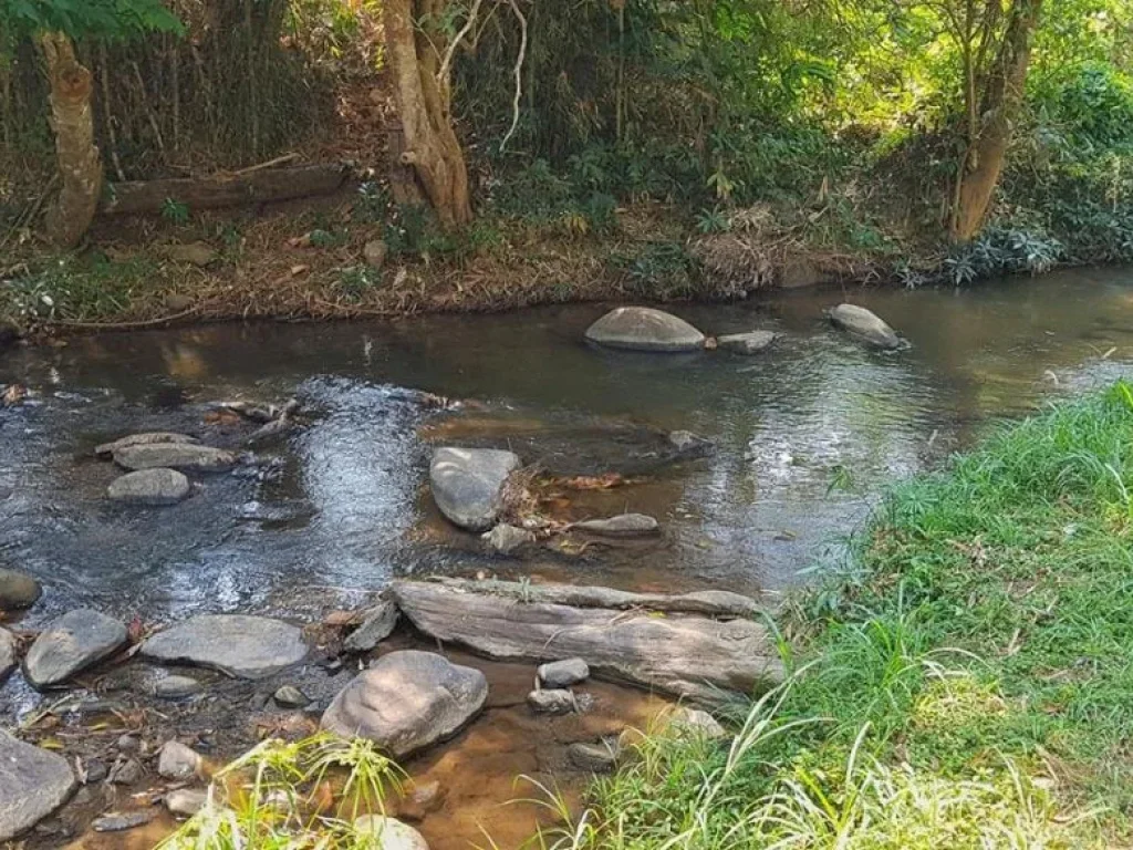 ขายที่ดินติดน้ำตก สายท่องเที่ยว แปลงสุดท้าย