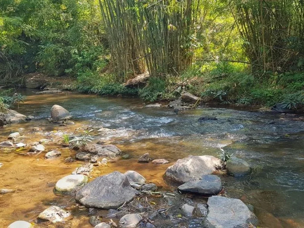 ขายที่ดินติดน้ำตก สายท่องเที่ยว แปลงสุดท้าย