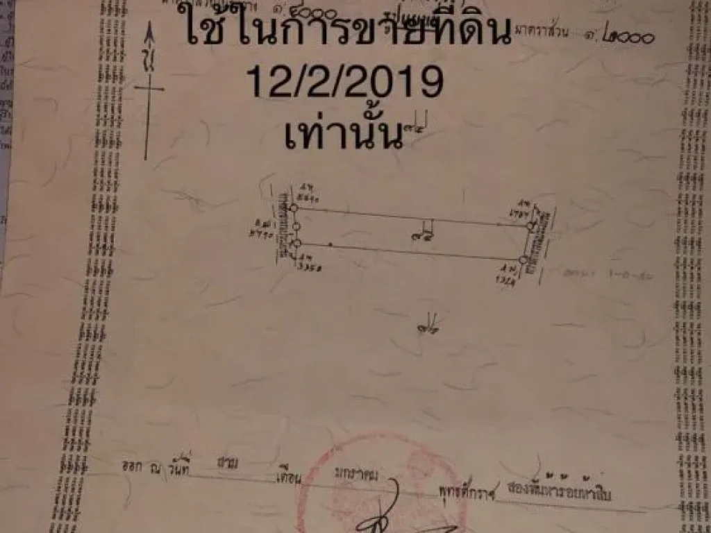 ขายที่ดินเปล่า 4 ไร่ ตโป่งแดง อขามทะเลสอ โคราช