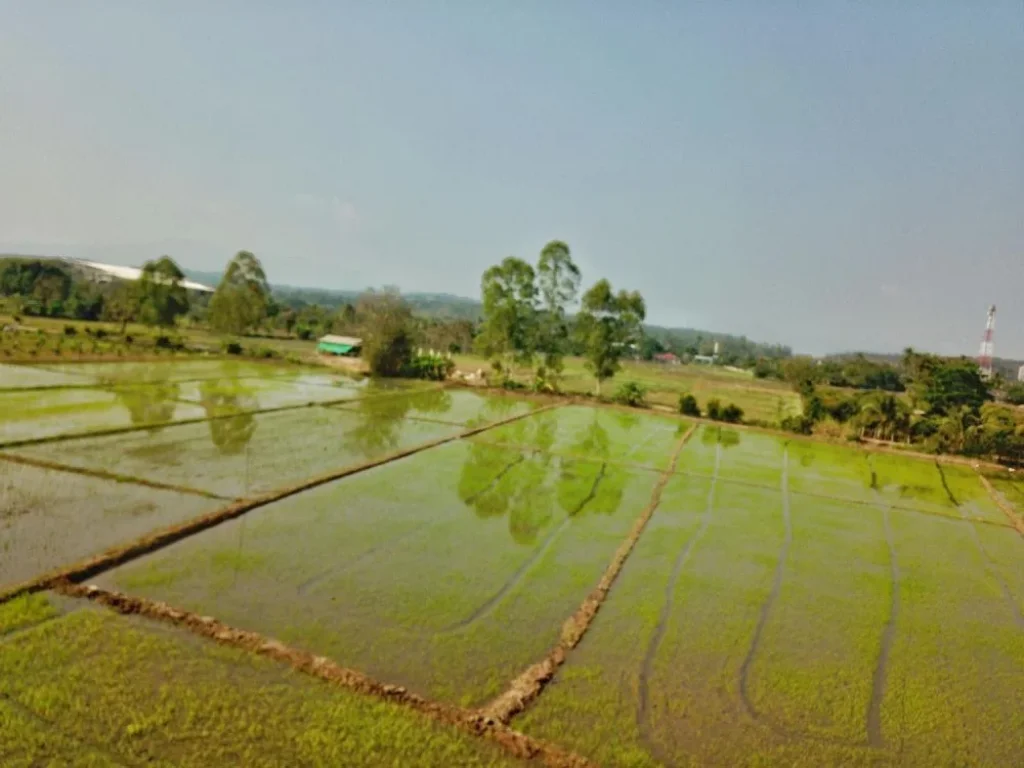 ขายที่นา ติดคลอง ติดถนน2ด้าน ใกล้ทางหลวง107 แม่ริม