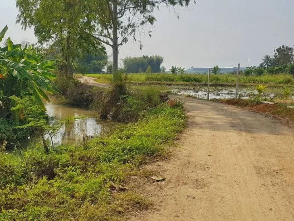 ขายที่นา ติดคลอง ติดถนน2ด้าน ใกล้ทางหลวง107 แม่ริม