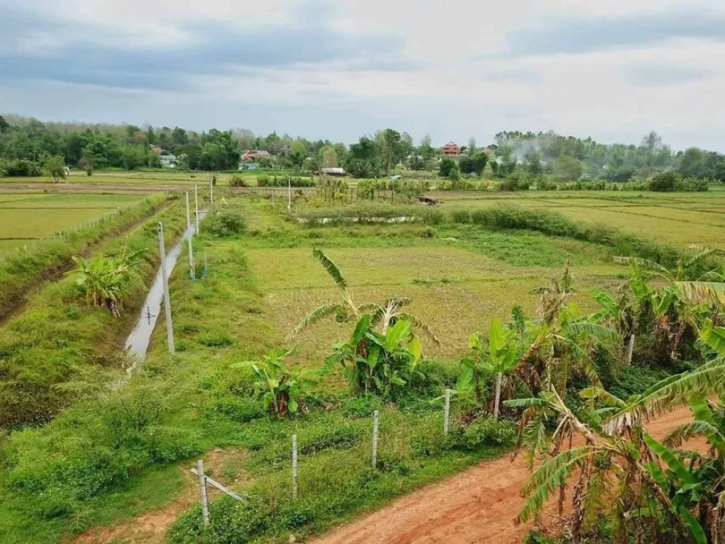 ขายที่ดินปรับแล้ว บรรยากาศดี มีโฉนด มีแบบบ้านBOQพร้อมยื่นกู้