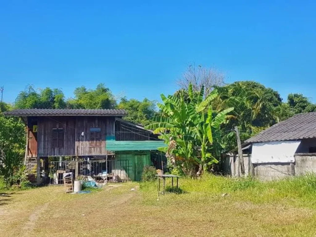 ขายบ้านไม้พร้อมที่ดิน ติดถนนลาดยาง น้ำไฟ แม่ริม