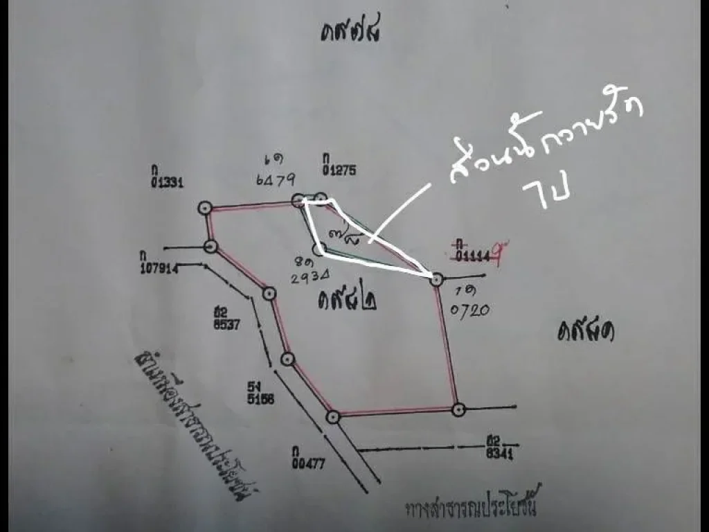 ขายที่ดินสวนดอก สร้างตึกได้ พื้นที่ส้ม